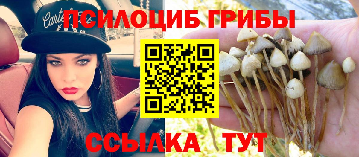 Псилоцибиновые грибы ЛСД Лабинск